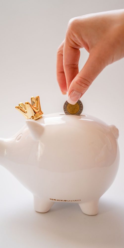 money, saving money, piggy bank, investment, finance, savings, deposit, budget, piggy bank, piggy bank, piggy bank, piggy bank, piggy bank, budget, budget